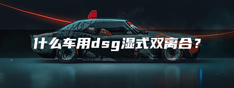 什么车用dsg湿式双离合？