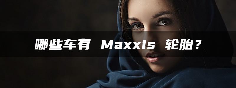 哪些车有 Maxxis 轮胎？