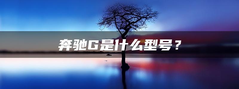 奔驰G是什么型号？