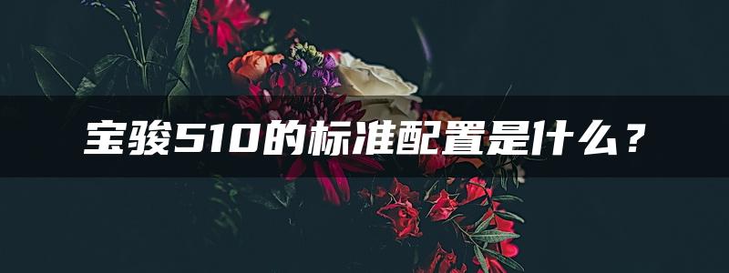 宝骏510的标准配置是什么？