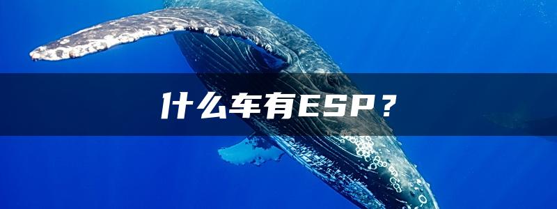 什么车有ESP？