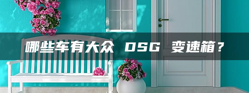 哪些车有大众 DSG 变速箱？