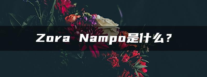 Zora Nampo是什么？