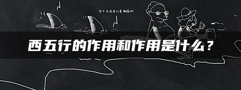 西五行的作用和作用是什么？