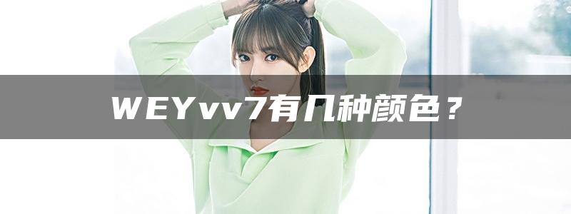 WEYvv7有几种颜色？