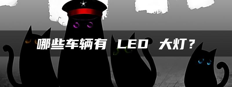 哪些车辆有 LED 大灯？