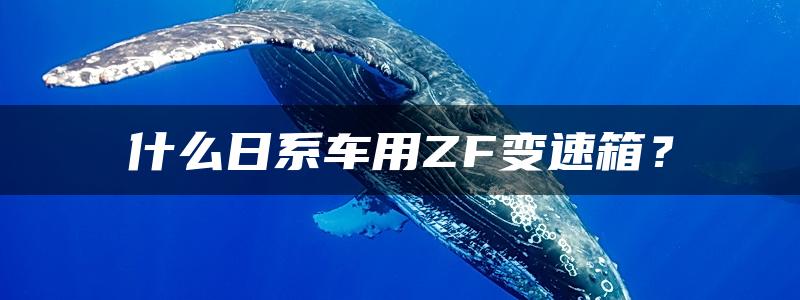 什么日系车用ZF变速箱？