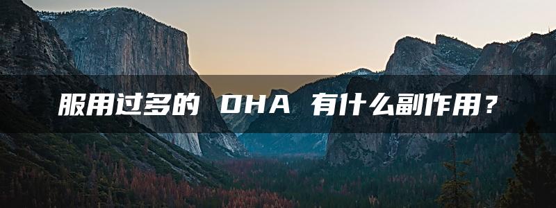 服用过多的 DHA 有什么副作用？