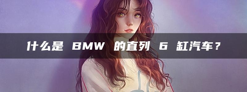 什么是 BMW 的直列 6 缸汽车？