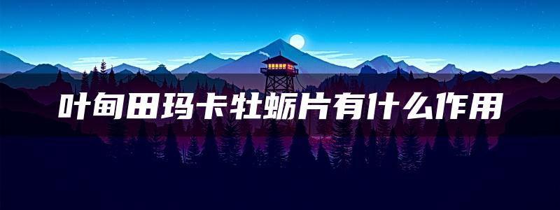 叶甸田玛卡牡蛎片有什么作用