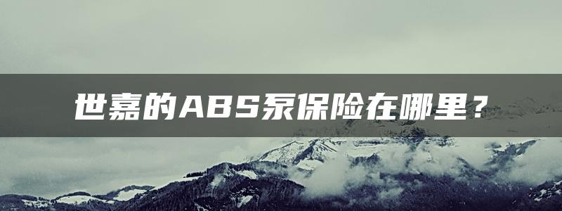 世嘉的ABS泵保险在哪里？