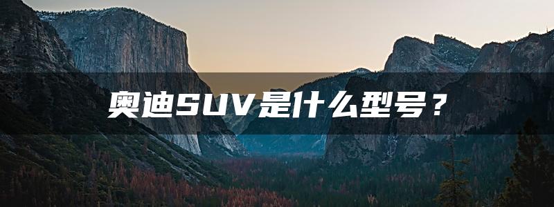 奥迪SUV是什么型号？