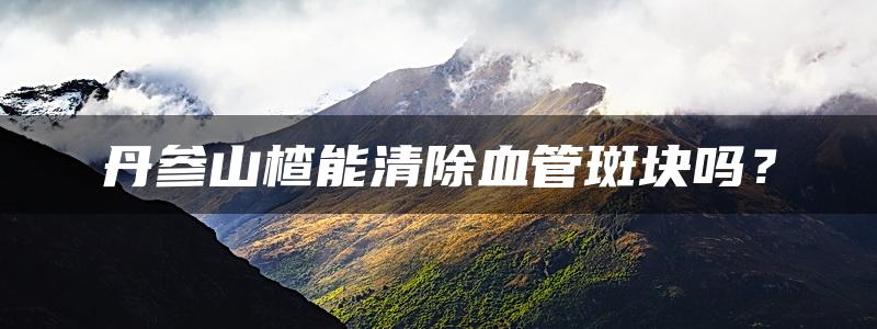 丹参山楂能清除血管斑块吗？