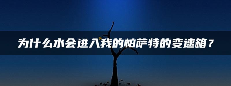 为什么水会进入我的帕萨特的变速箱？