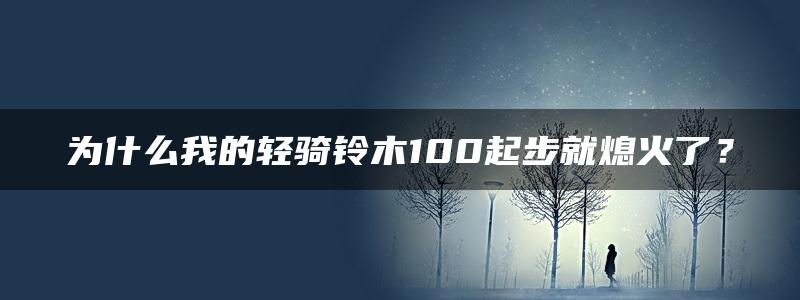 为什么我的轻骑铃木100起步就熄火了？