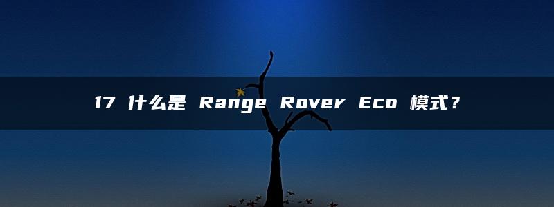 17 什么是 Range Rover Eco 模式？