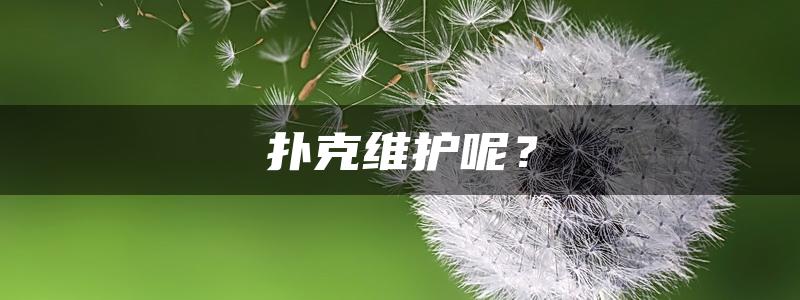 扑克维护呢？