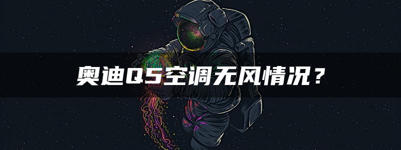 奥迪Q5空调无风情况？