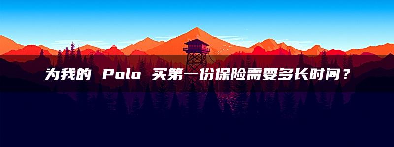 为我的 Polo 买第一份保险需要多长时间？