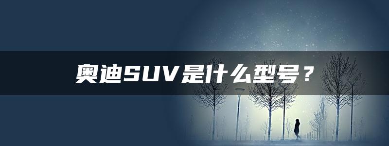 奥迪SUV是什么型号？