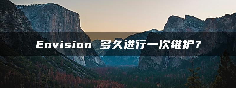 Envision 多久进行一次维护？