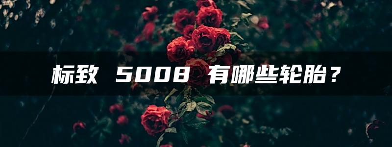 标致 5008 有哪些轮胎？