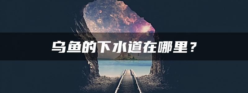 乌鱼的下水道在哪里？