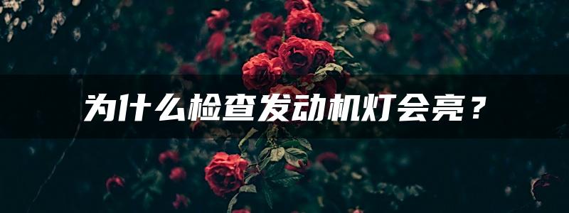 为什么检查发动机灯会亮？