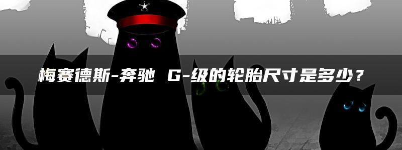 梅赛德斯-奔驰 G-级的轮胎尺寸是多少？