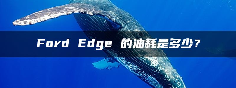 Ford Edge 的油耗是多少？