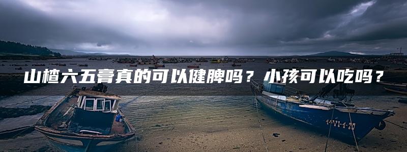 山楂六五膏真的可以健脾吗？小孩可以吃吗？