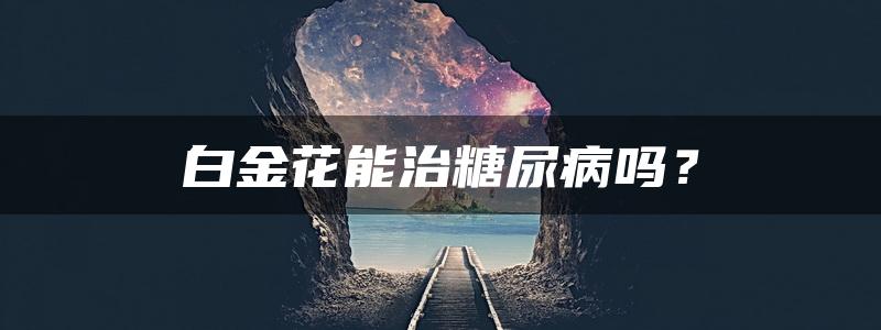 白金花能治糖尿病吗？