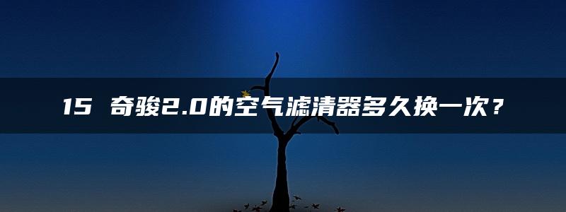 15 奇骏2.0的空气滤清器多久换一次？