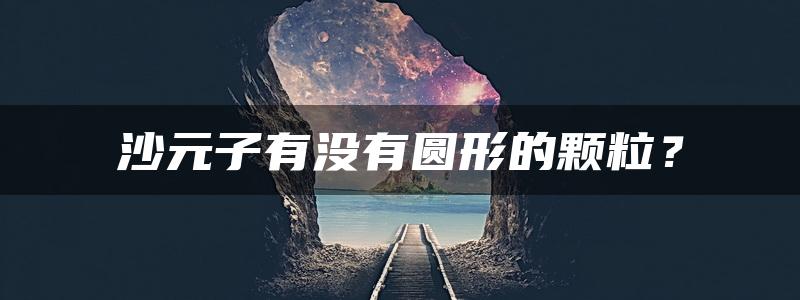 沙元子有没有圆形的颗粒？