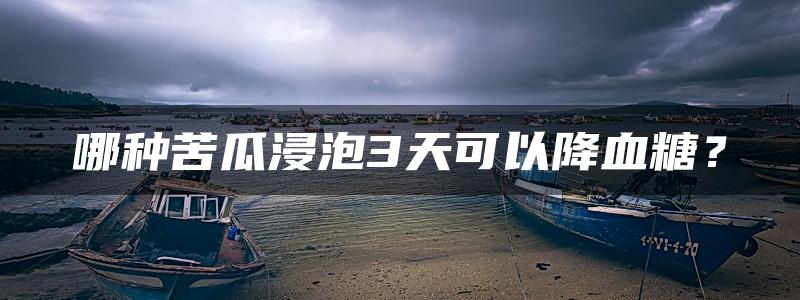 哪种苦瓜浸泡3天可以降血糖？