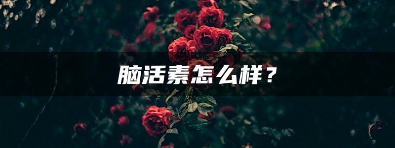 脑活素怎么样？