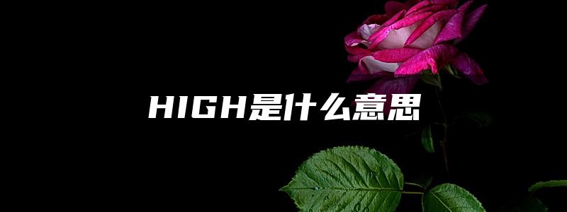 HIGH是什么意思