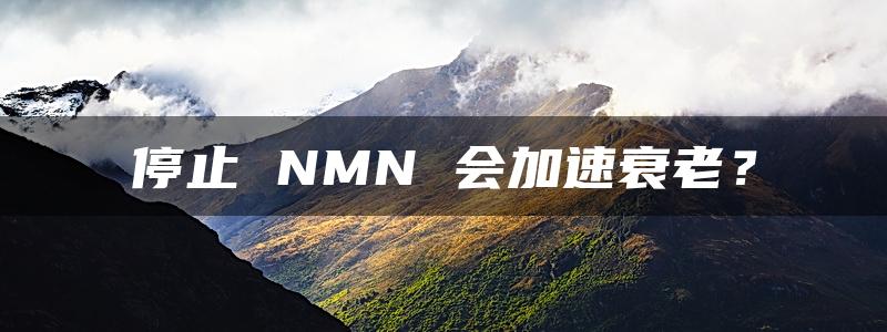 停止 NMN 会加速衰老？