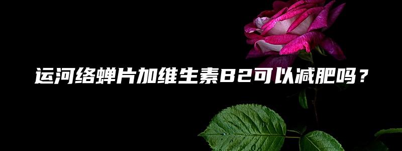 运河络蝉片加维生素B2可以减肥吗？