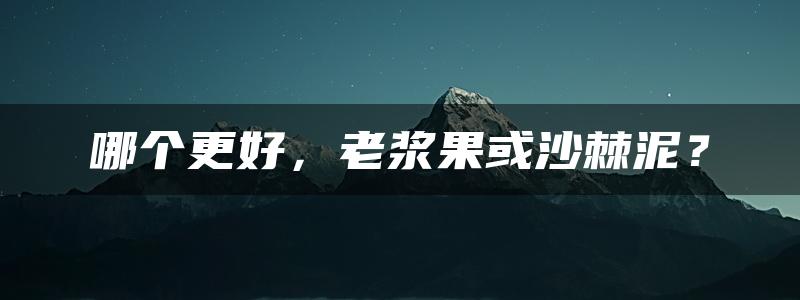 哪个更好，老浆果或沙棘泥？