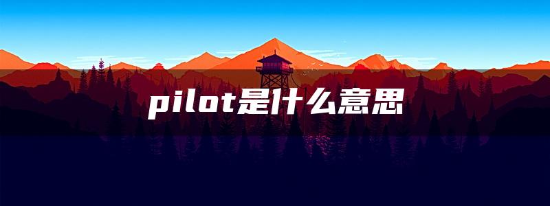 pilot是什么意思