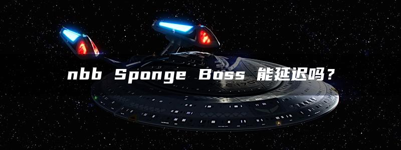 nbb Sponge Boss 能延迟吗？