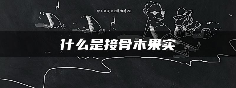 什么是接骨木果实